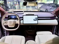Zeekr X 2025 (4500 км)