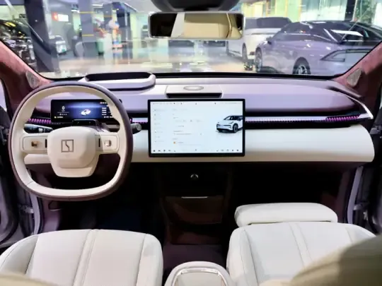 Zeekr X 2025 (4500 км)