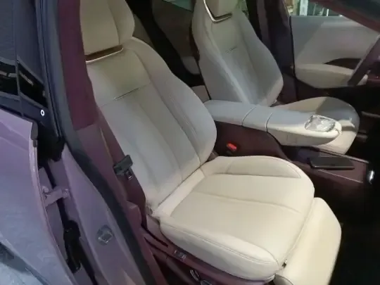 Zeekr X 2025 (4500 км)