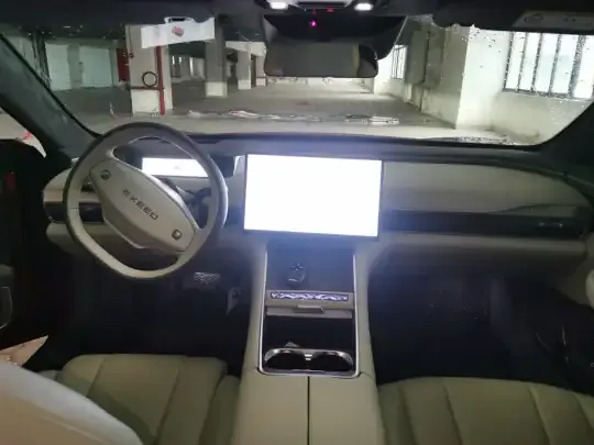 EXEED Star Era ES 2025 (33800 км)