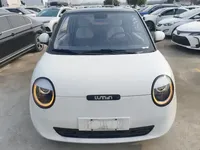 CHANGAN NEVO Lumin 2024 (6800 км)
