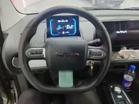 Qiyuan Lumin 2024 (28700 км)