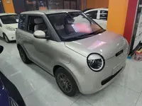 Qiyuan Lumin 2024 (28700 км)