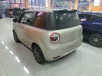 Qiyuan Lumin 2024 (28700 км)
