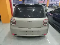 Qiyuan Lumin 2024 (28700 км)