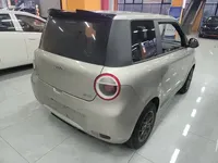 Qiyuan Lumin 2024 (28700 км)