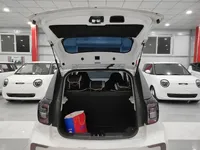 JAC Yiwei E10X 2024 (22799 км)