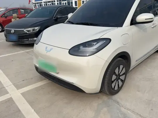 Wuling Bingo 2024 (28300 км)