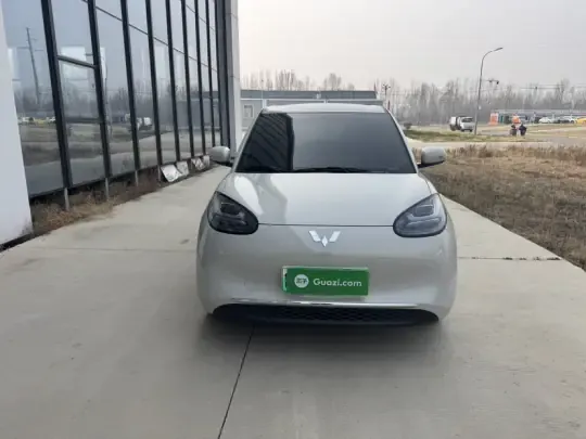 Wuling Bingo 2024 (28300 км)