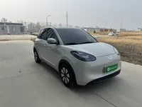 Wuling Bingo 2024 (28300 км)