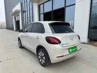 Wuling Bingo 2024 (28300 км)