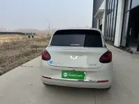Wuling Bingo 2024 (28300 км)
