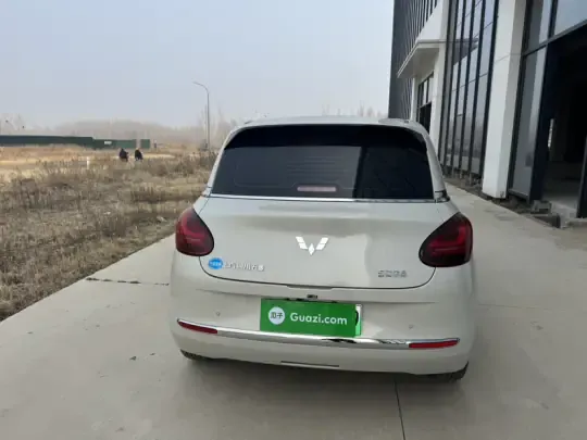 Wuling Bingo 2024 (28300 км)