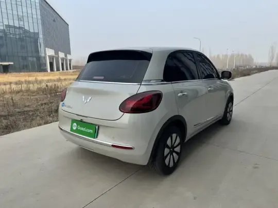Wuling Bingo 2024 (28300 км)
