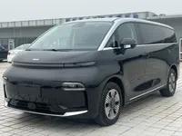 Geely Galaxy LEVC L380 2024 (20800 км)