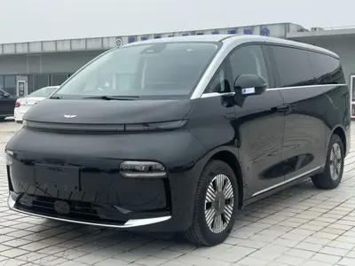 Geely Galaxy LEVC L380 2024 (20800 км)