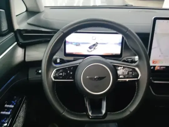 Geely Galaxy LEVC L380 2024 (20800 км)