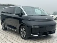 Geely Galaxy LEVC L380 2024 (20800 км)
