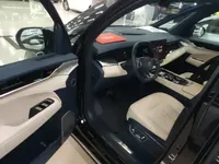 Zeekr 009 2024 (33500 км)