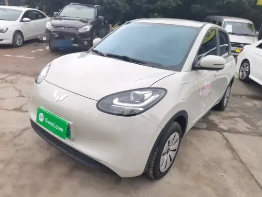 Wuling Bingo 2024 (11000 км)