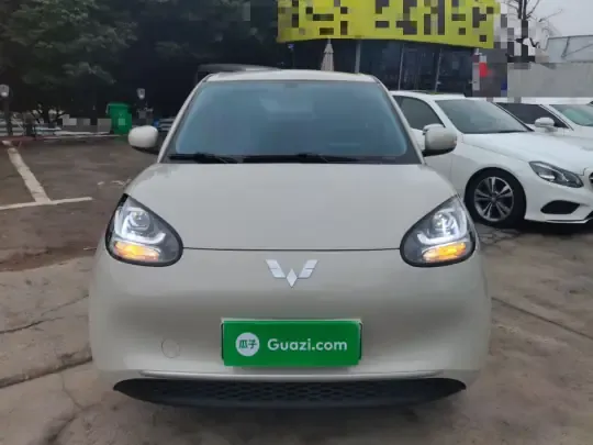 Wuling Bingo 2024 (11000 км)