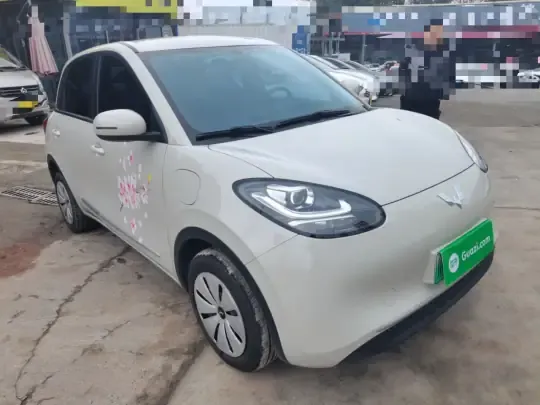 Wuling Bingo 2024 (11000 км)