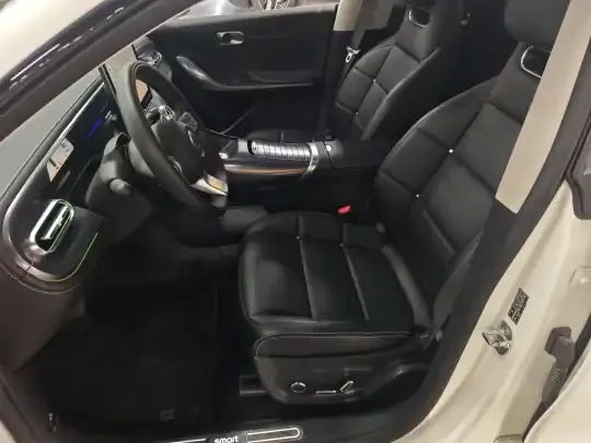 smart #3 2024 (34000 км)