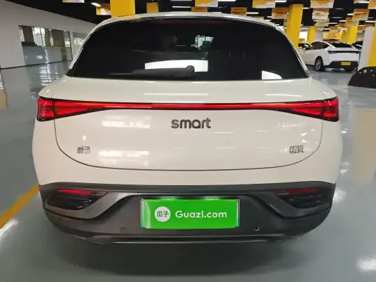 smart #3 2024 (34000 км)