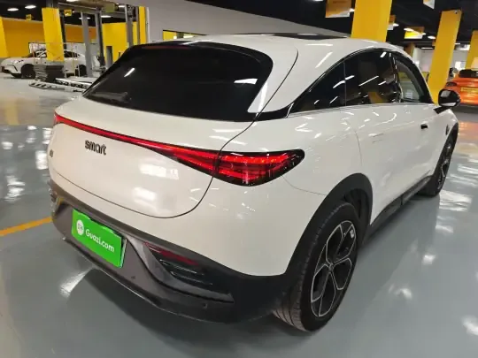 smart #3 2024 (34000 км)