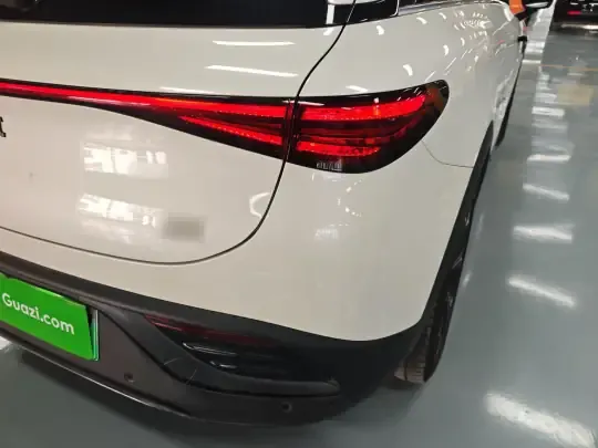 smart #3 2024 (34000 км)