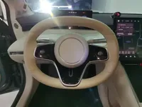 Hima Luxeed S7 2024 (43400 км)