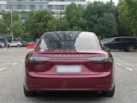 Hima Stelato S9 2024 (13300 км)