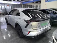 Honda e:NS2 2024 (18600 км)