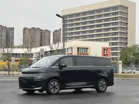 Geely Galaxy LEVC L380 2024 (100 км)