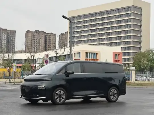 Geely Galaxy LEVC L380 2024 (100 км)