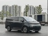 Geely Galaxy LEVC L380 2024 (100 км)