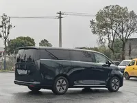 Geely Galaxy LEVC L380 2024 (100 км)
