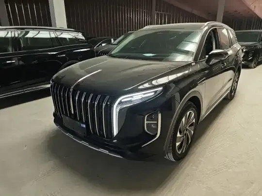 Hongqi HS7 PHEV 2024 (25099 км)