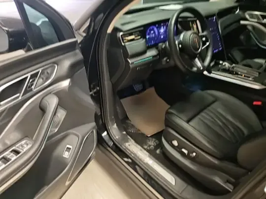 Hongqi HS7 PHEV 2024 (25099 км)