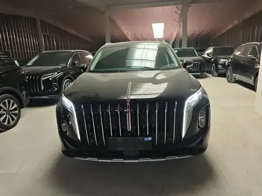 Hongqi HS7 PHEV 2024 (25099 км)