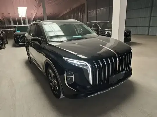 Hongqi HS7 PHEV 2024 (25099 км)