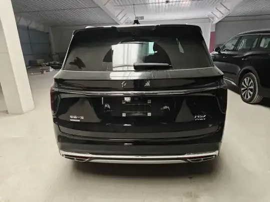 Hongqi HS7 PHEV 2024 (25099 км)