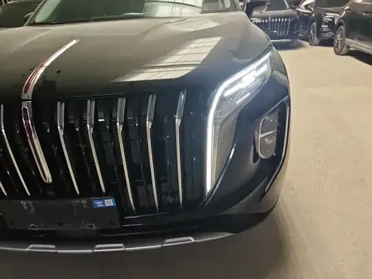 Hongqi HS7 PHEV 2024 (25099 км)