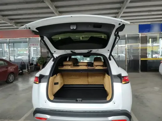 BYD Song L DM-i 2024 (27400 км)