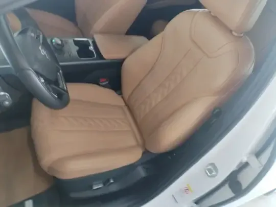 BYD Song L DM-i 2024 (8700 км)