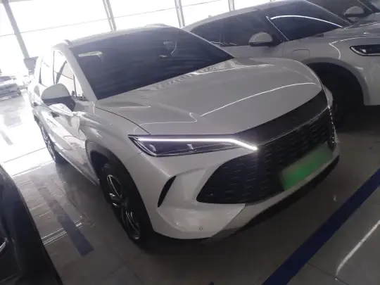 BYD Song L DM-i 2024 (8700 км)