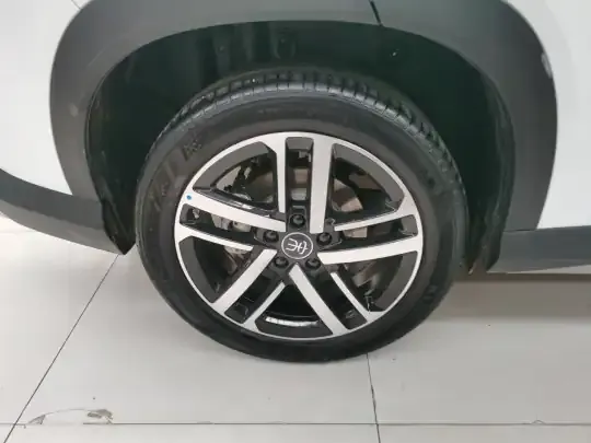 BYD Song L DM-i 2024 (18100 км)