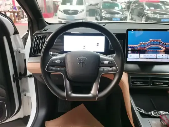 BYD Song L DM-i 2024 (18100 км)