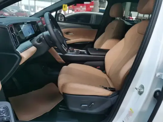 BYD Song L DM-i 2024 (18100 км)