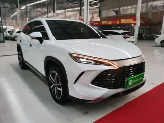 BYD Song L DM-i 2024 (18100 км)
